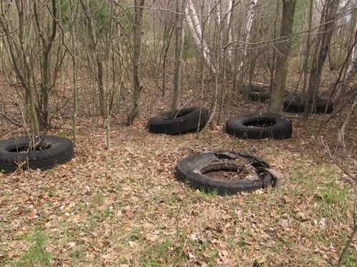 Western Michigan Speedway (West Michigan Speedway) - Spring 2008 From Me (newer photo)